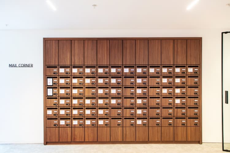 Lorenzo walnut brown in renovation of The Marnix